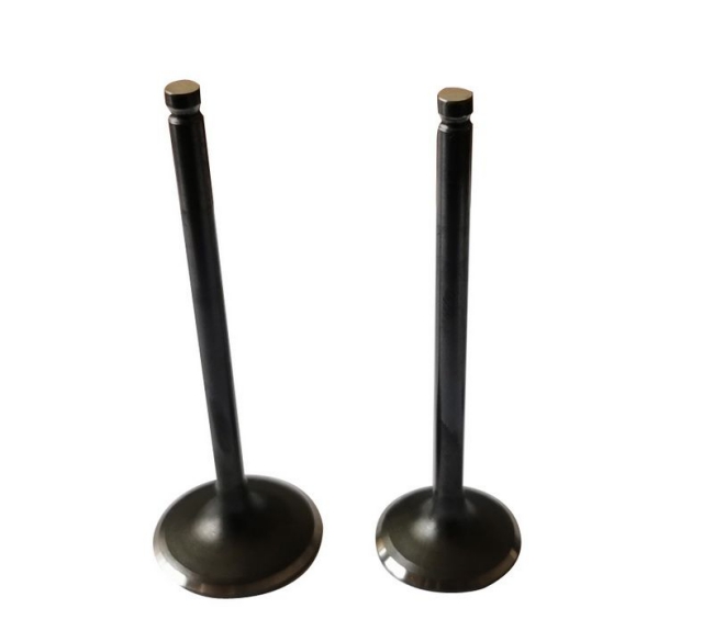 Spare Engine Intake Valve For Motorbike